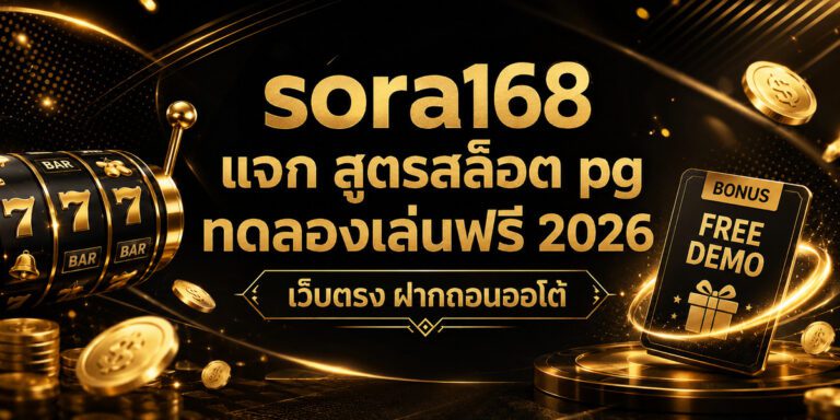 sora pg demo
